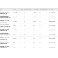 UNIFIBER Expérience EVO II 4.0m² Dacron gréement complet Occasion