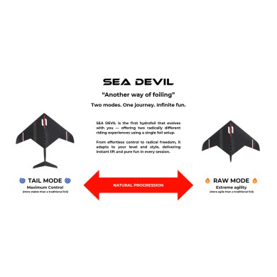 SABFOIL Sea Devil Avion Complet