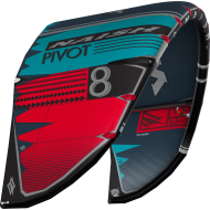 NAISH Pivot 2020