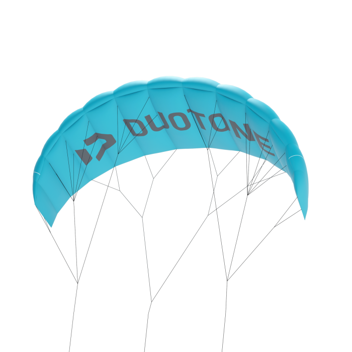 DUOTONE lizard