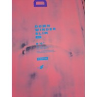 Duotone Downwinder Slim SLS 2025 8'0 - 18.5" - 100L - Occasion