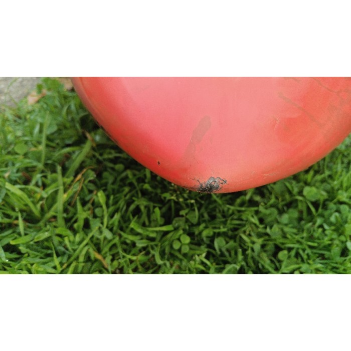 TABOU Super Yaka Team 106L 2025 Occasion