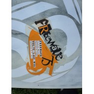 Fanatic Freewave 75 occasion